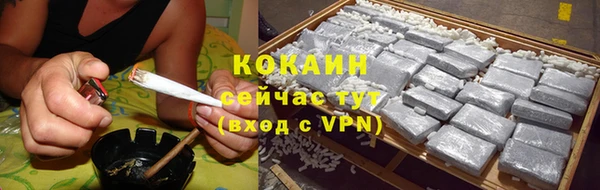прущие грибы Краснотурьинск