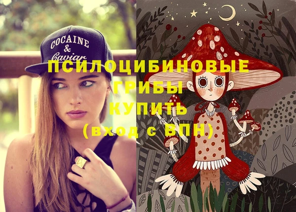 гашик Абдулино