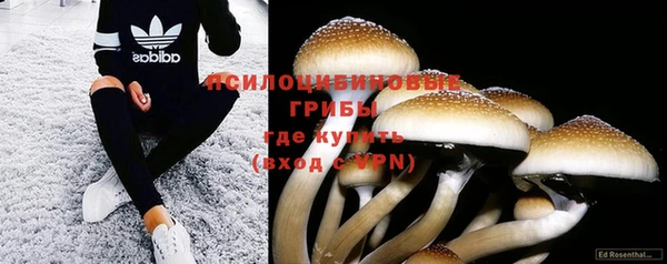 гашик Абдулино